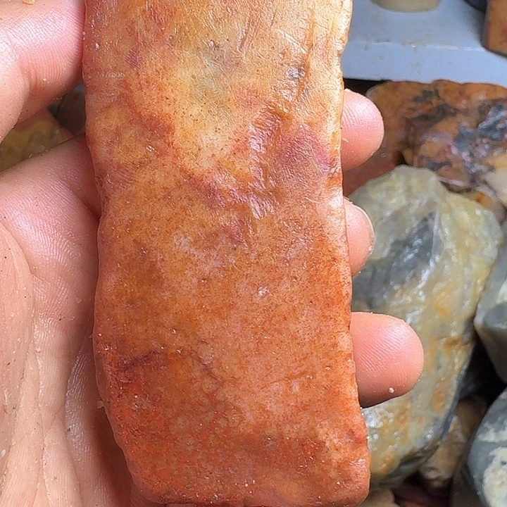 东***胡寿山石寿山石的种类