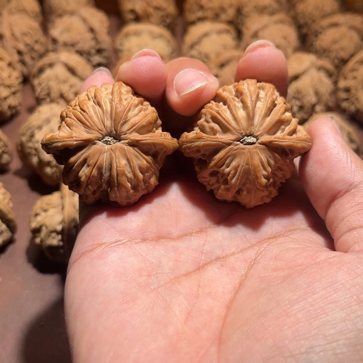 龙***行核桃手串/手链磨盘40+尺寸