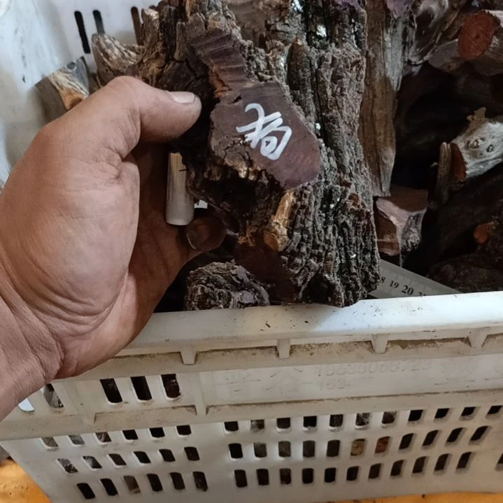 狗***爸柏木黑疙瘩毛料毛料