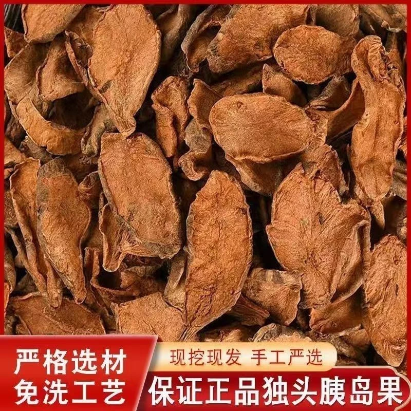 胰岛果茶现挖野生真果正品特级新鲜胰岛果鲜果药食同源红果菊芋