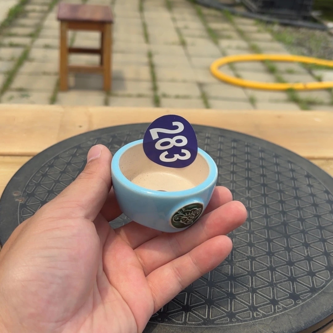 咖**蛋一颗不留铁抛283