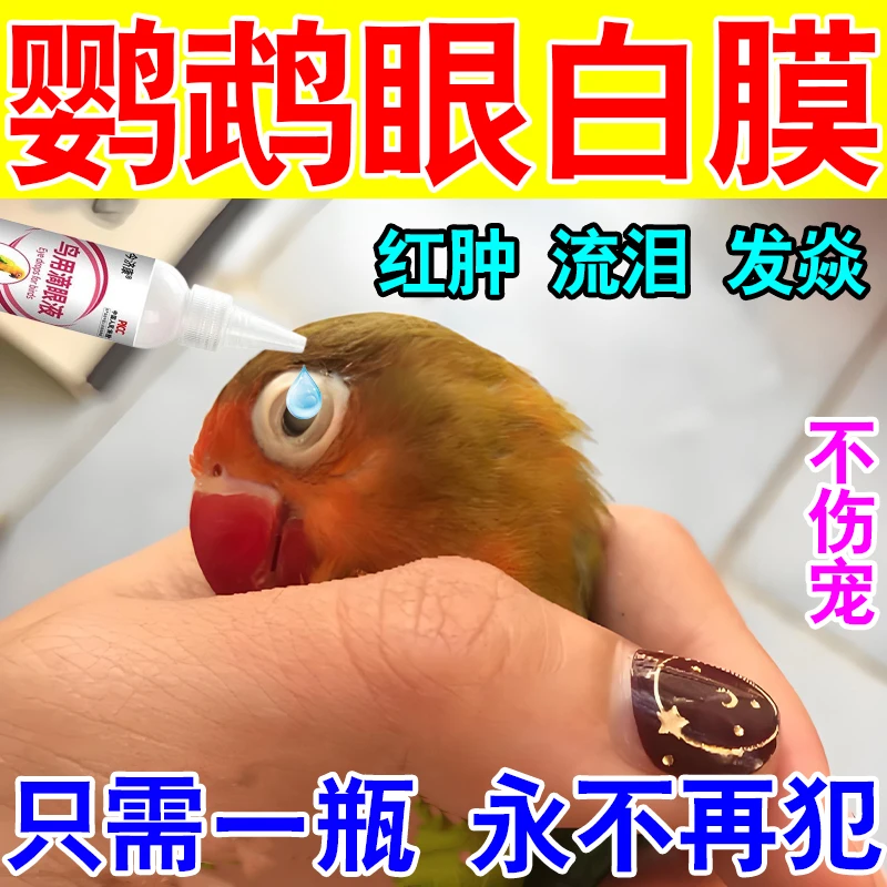 鹦鹉眼睛白膜专用鸟眼睛发焱流脓结膜肿大视力模糊专用鸟用滴眼液