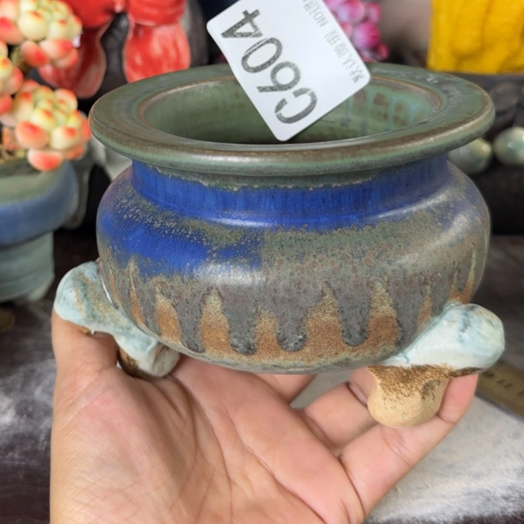 重庆小燕子欢迎那家604