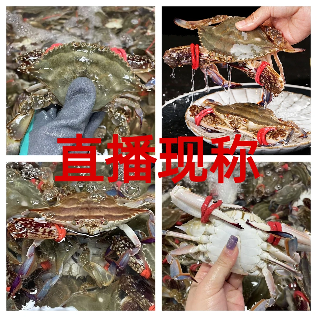 【二母直播现称】【保鲜不包活】【断腿正常建议勿拍】鲑鱼三文鱼