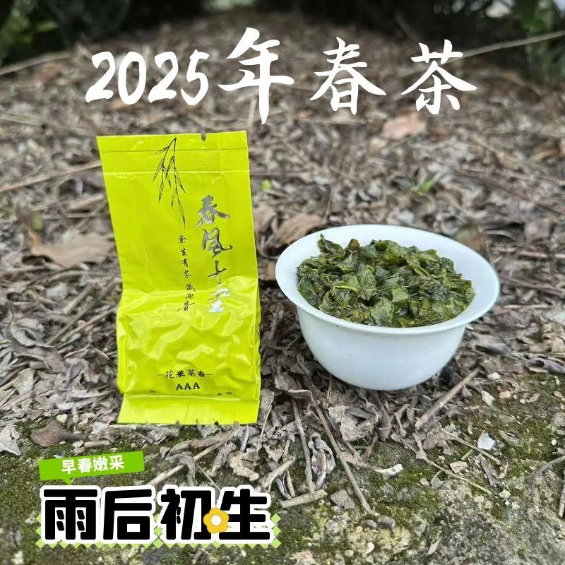 【春风十里】2025年新鲜嫩采铁观音乌龙茶消正味黄底新鲜茶好喝爽口