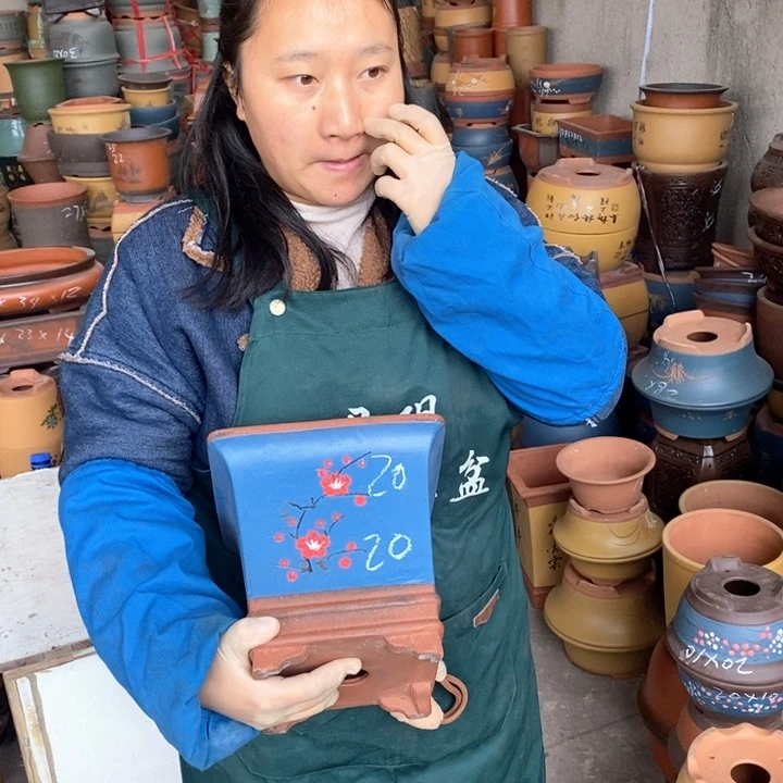 紫砂花盆盆栽花卉苗木种植
