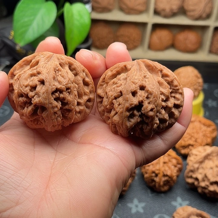 把件文玩核桃全品大粗筋边50➕