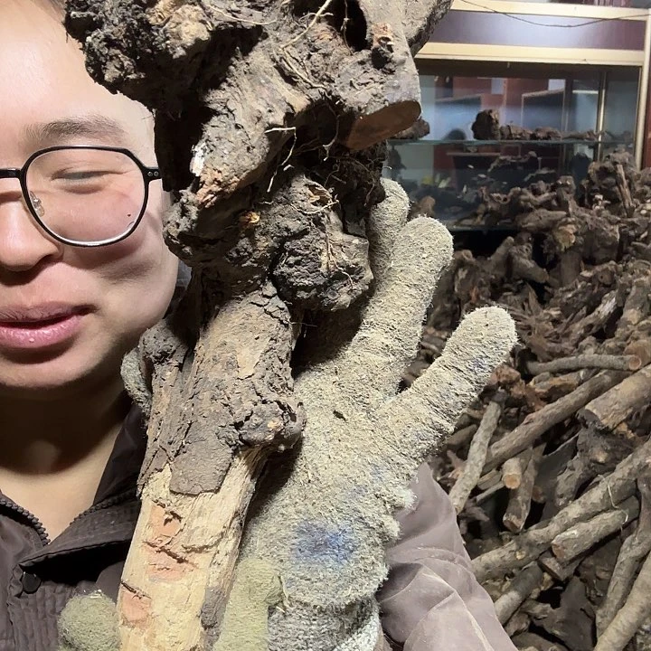 香榧木落**悔火琉璃的毛料摆件