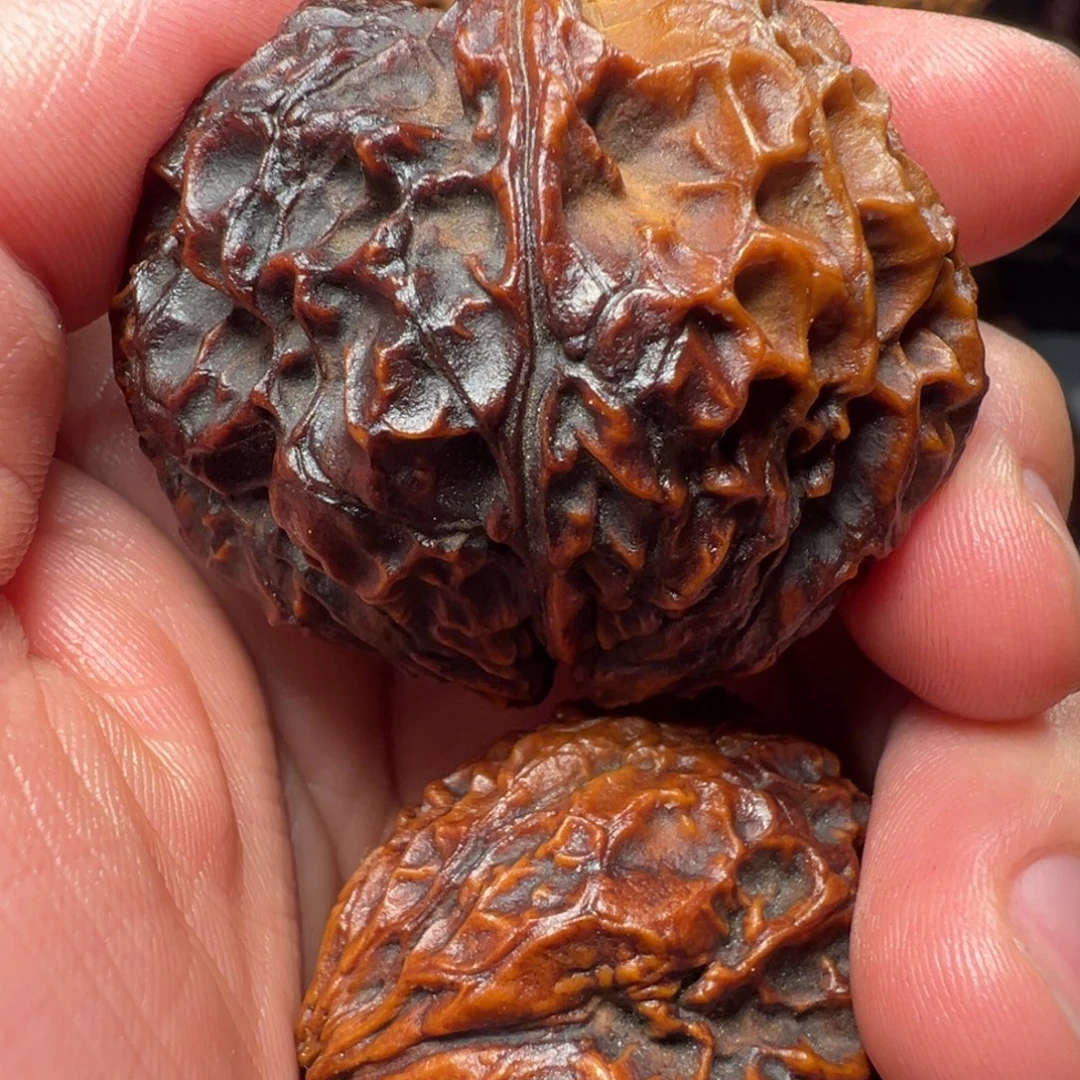 吊坠文玩核桃聚宝金蟾47mm