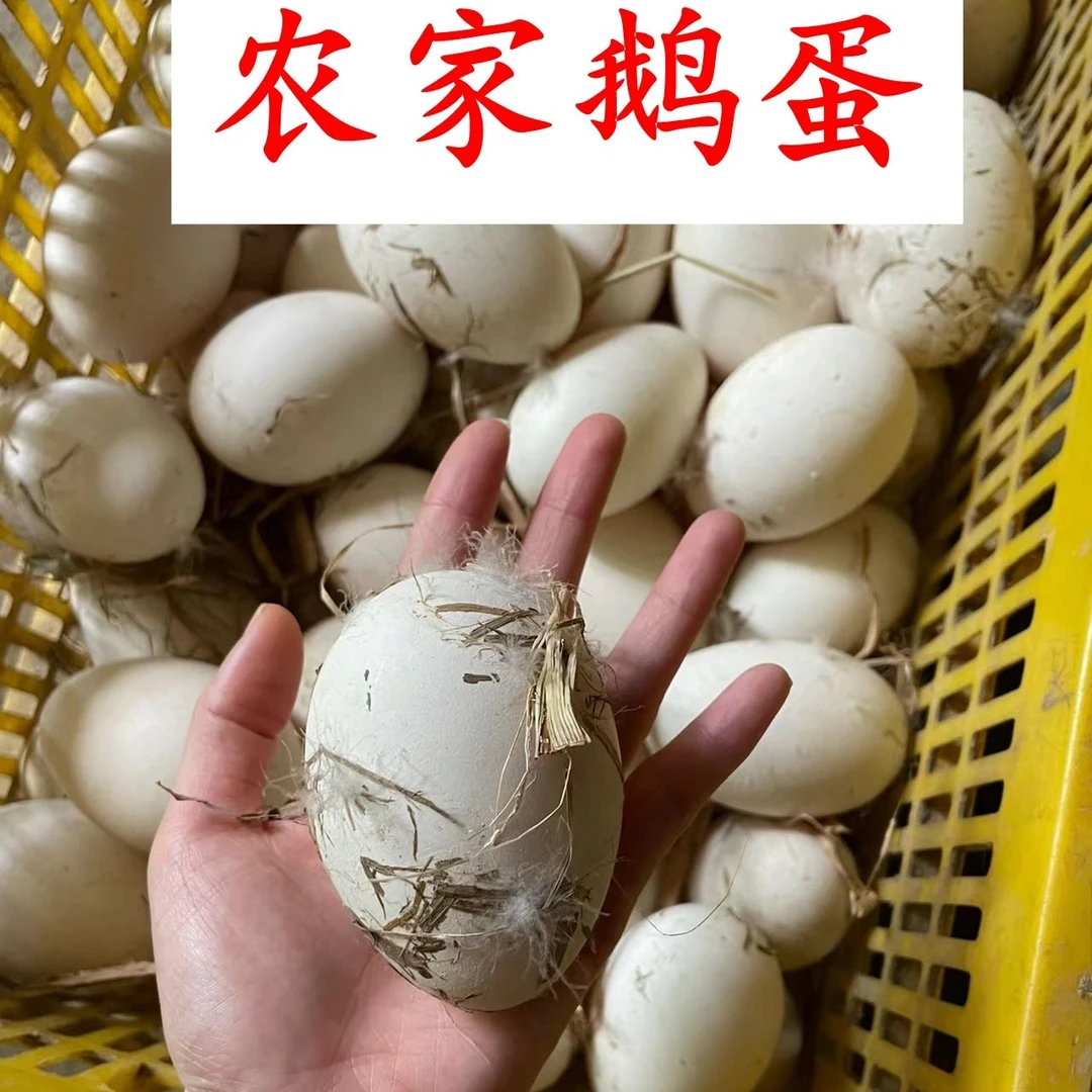 12枚农家散养土鹅蛋  单枚重量80-100克左右