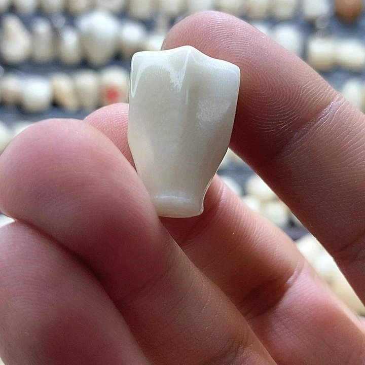 红***行菩提根/象牙果吊坠