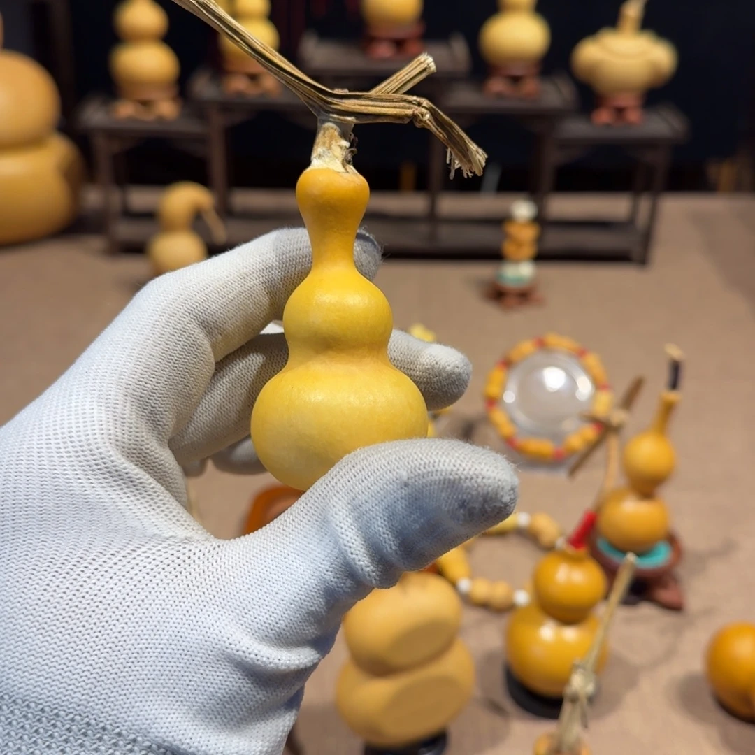 用***5手把八宝葫芦一把抓