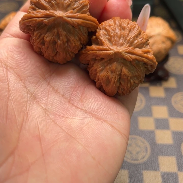 核桃39白狮子文玩