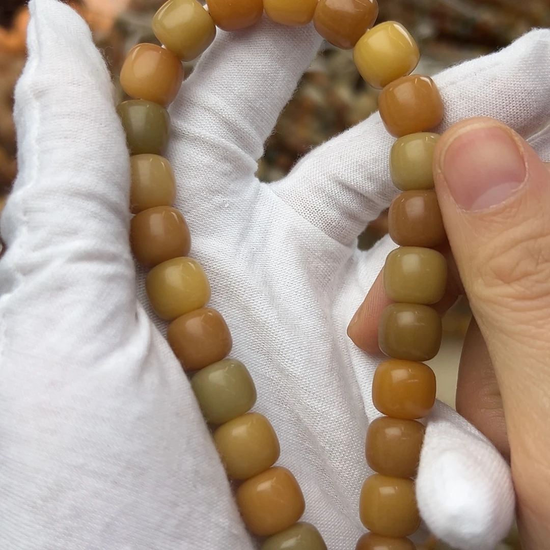 菩提根/象牙果吊坠11干磨缅小料079