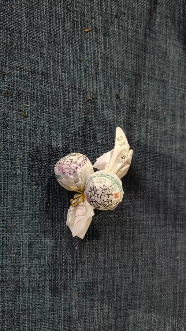 【南美白茶龙珠】2024年春白茶1月24日【9号】