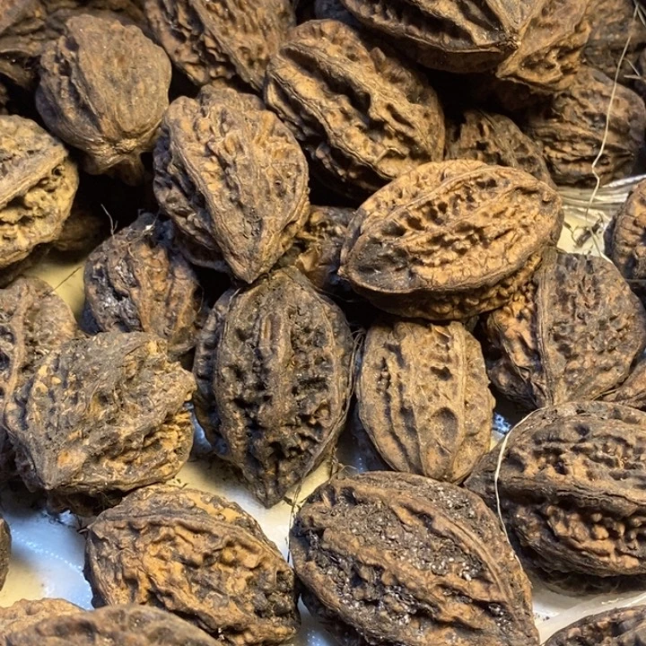 桃核吊坠东北特产53