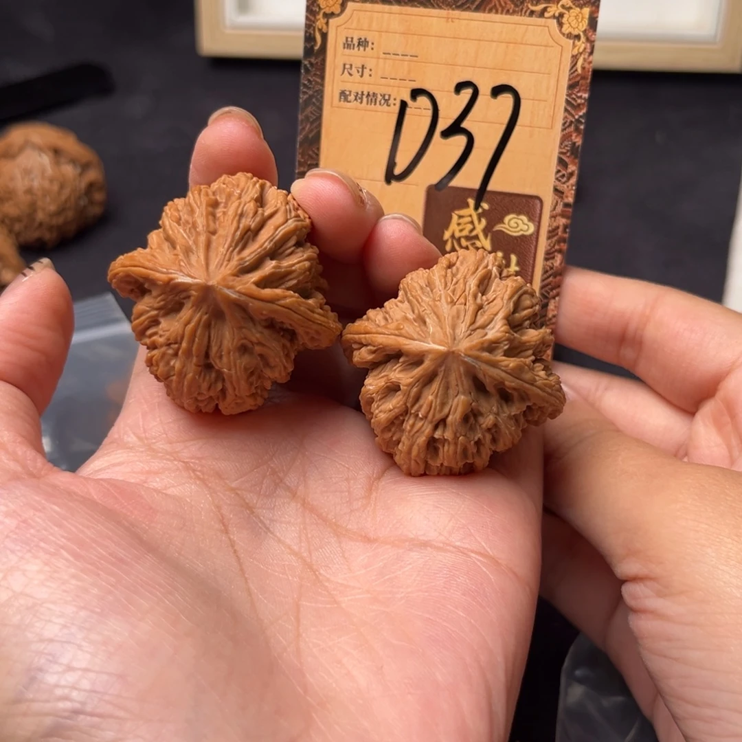 核桃d37密闻111111