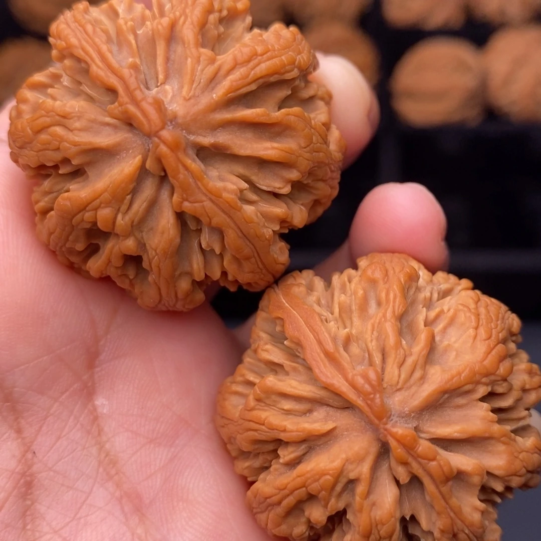 文玩核桃把件11111111111111111111