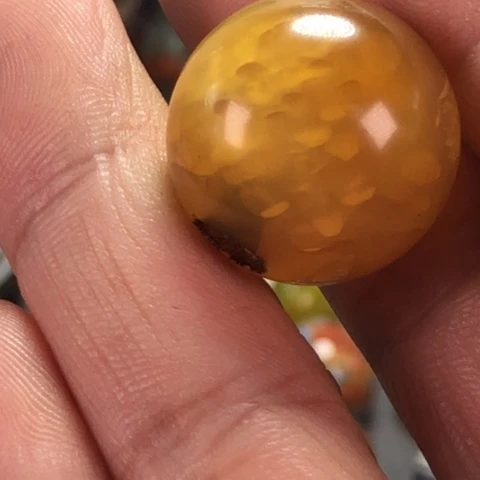 未镶嵌颈饰玛瑙/玉髓阳*