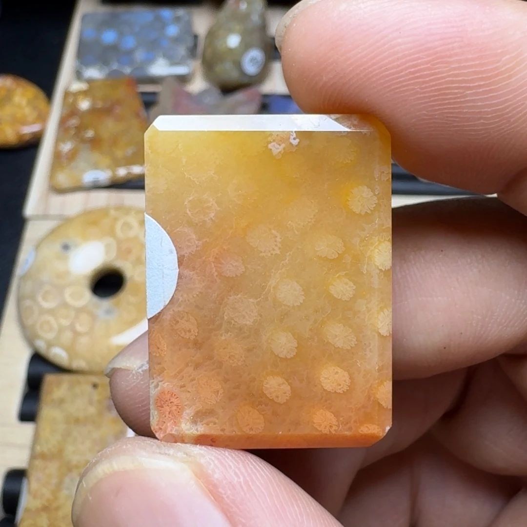 未镶嵌纯天然色有机玉石保真色硅化玉