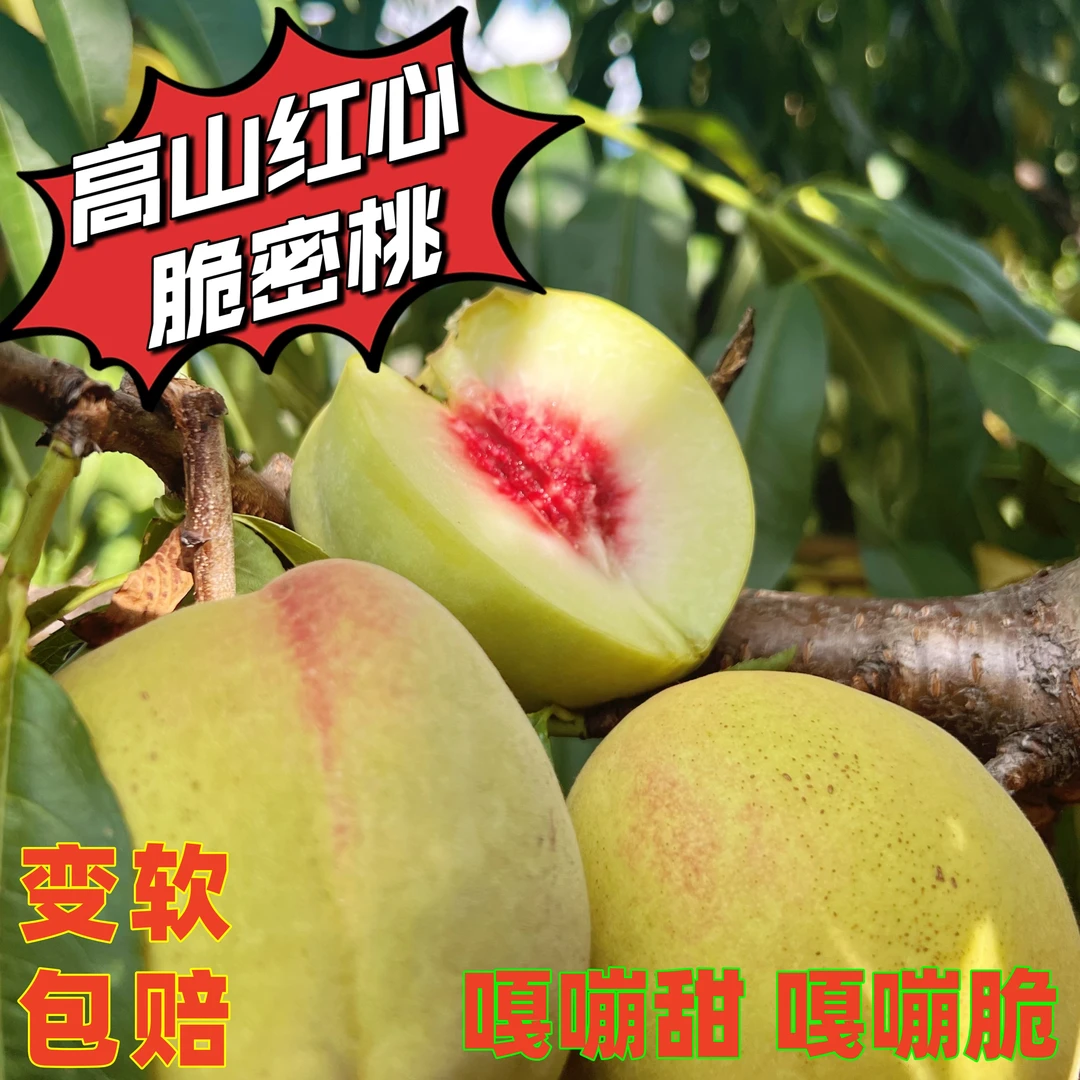三峡秭归高山红心脆蜜桃4.5斤
