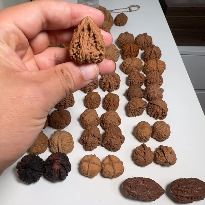 铭***尘核桃核桃核桃核桃