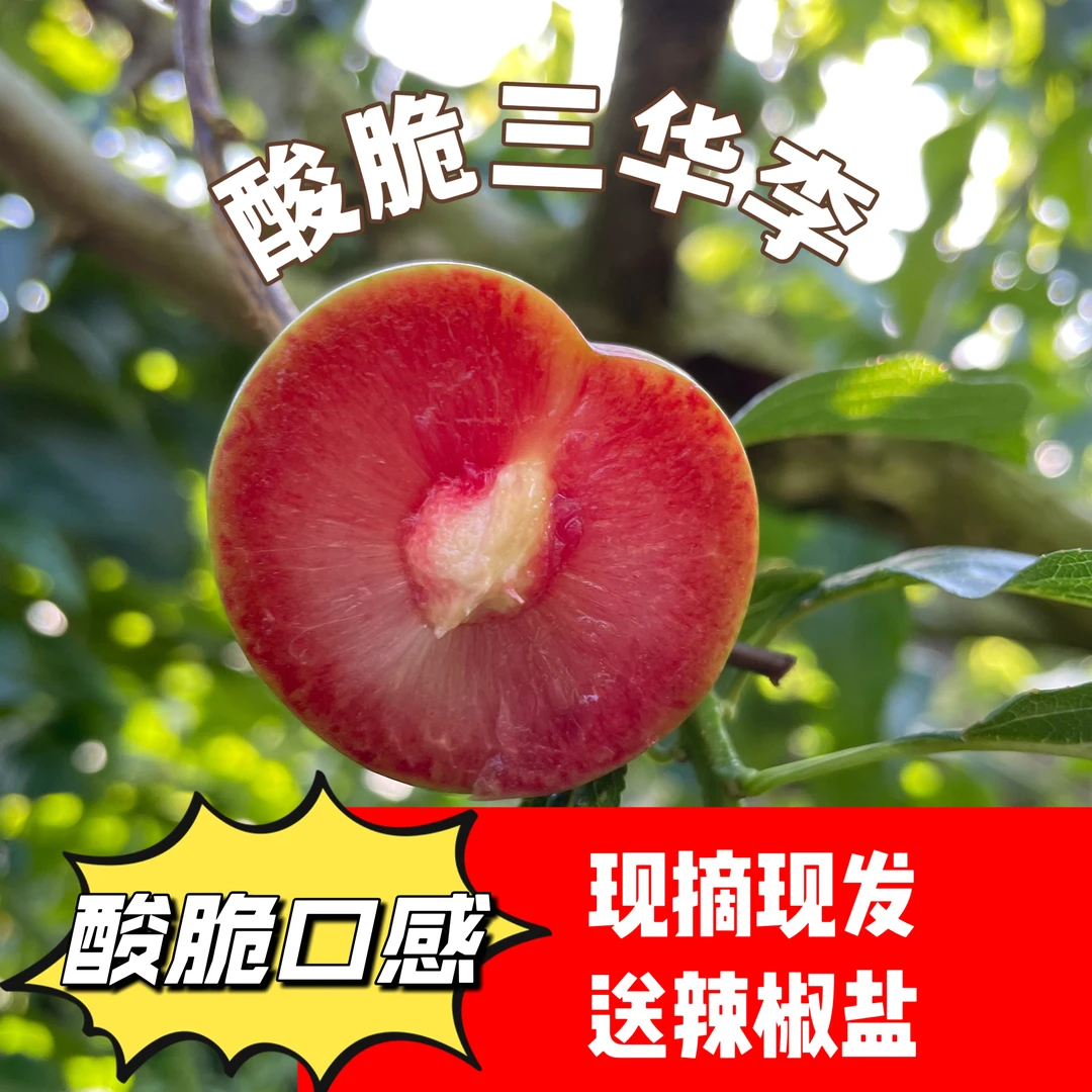 广东钱排红心三华李新鲜现摘现发酸脆多汁解馋包邮