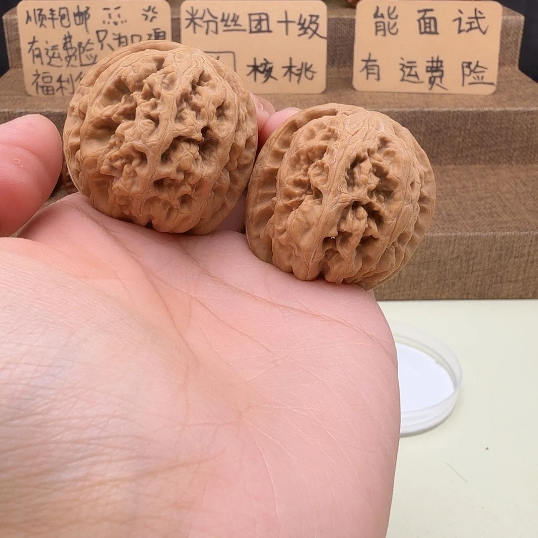 全品平谷大粗筋41/42/38