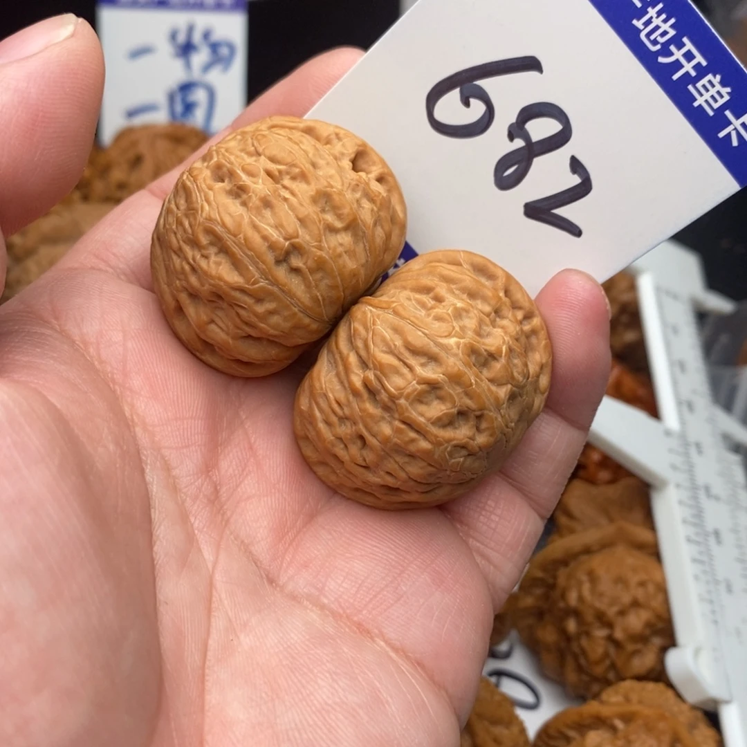 核桃铁锤妹妹37nomnom
