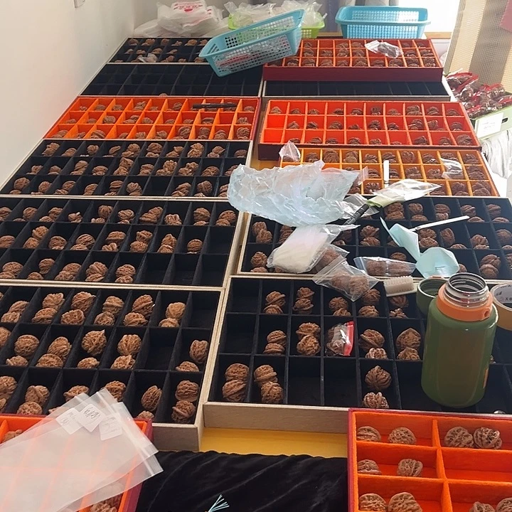 文玩核桃把件新粉福利，三对微瑕随机发