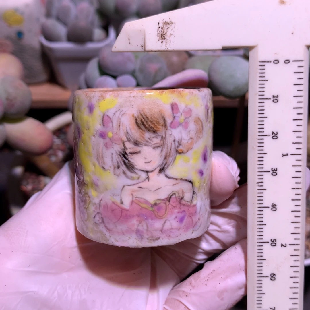 小乔满28包邮哈哈哈哈