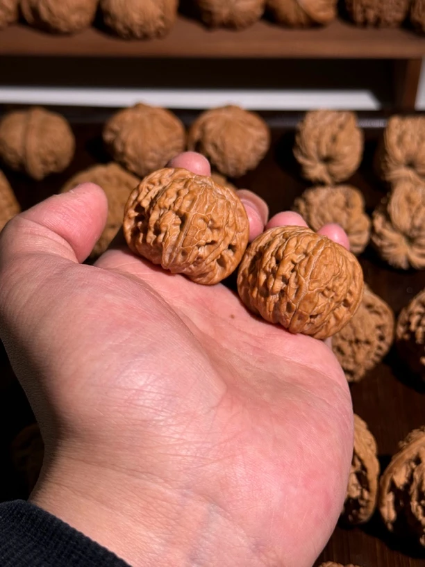 红皮磨盘 边36.5 文玩核桃 一图一物