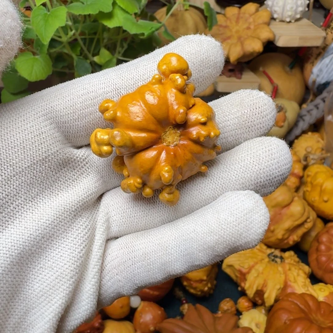 安*特价葫芦不退不换