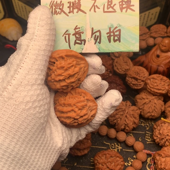 匿**气38尺秦岭野生金公子