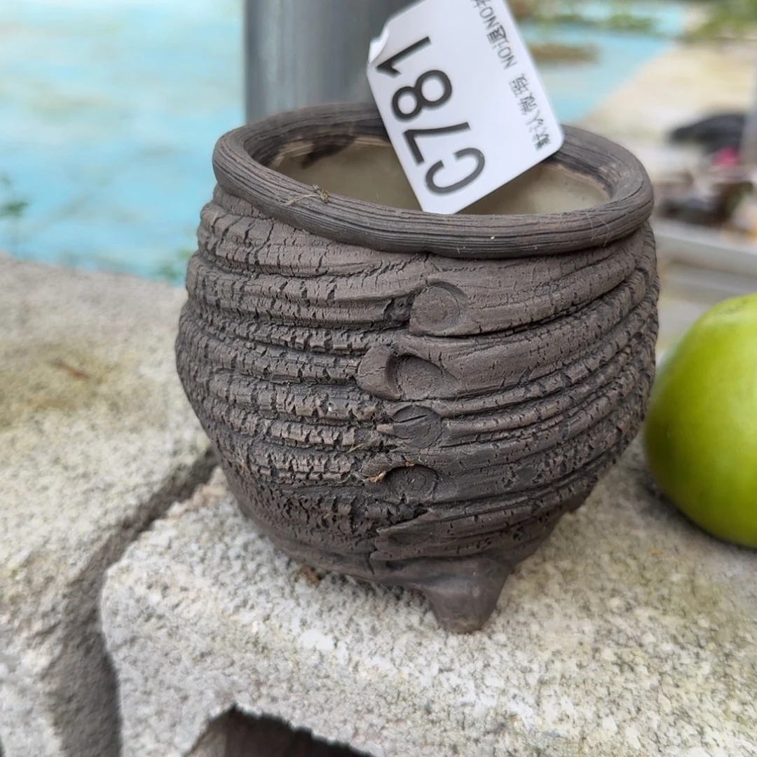 重庆小燕子欢迎大家781