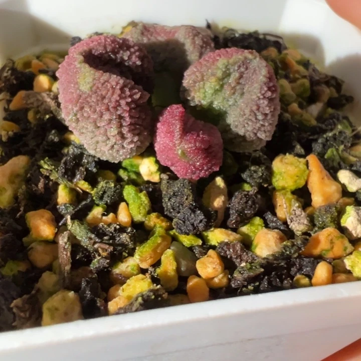 ****～吉祥如意等名家名作和名家名作