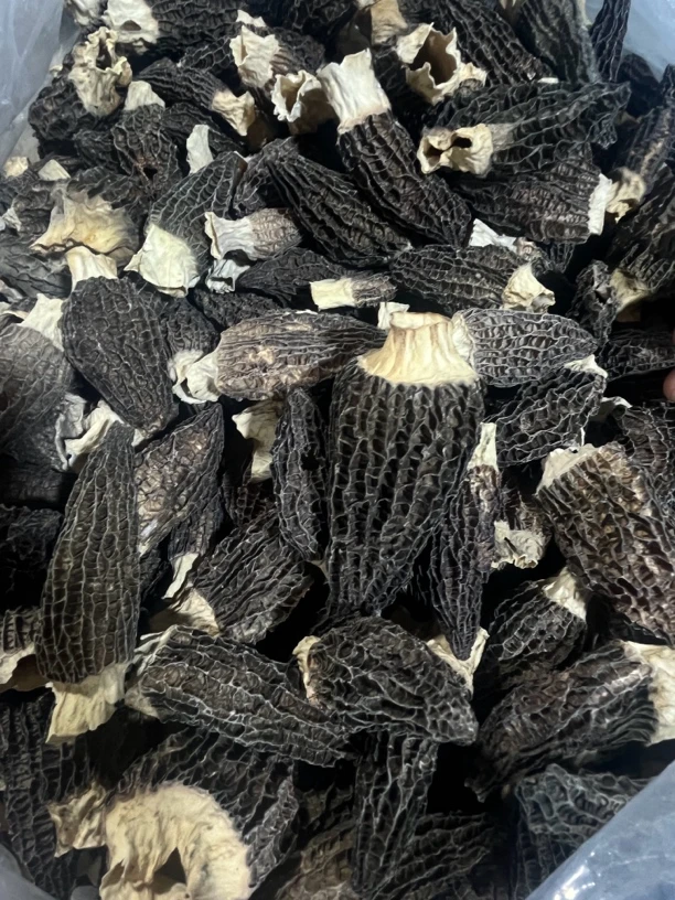 7-11大个六妹羊肚菌0510