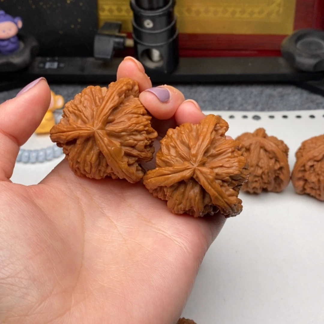 理****壮白狮子11111111