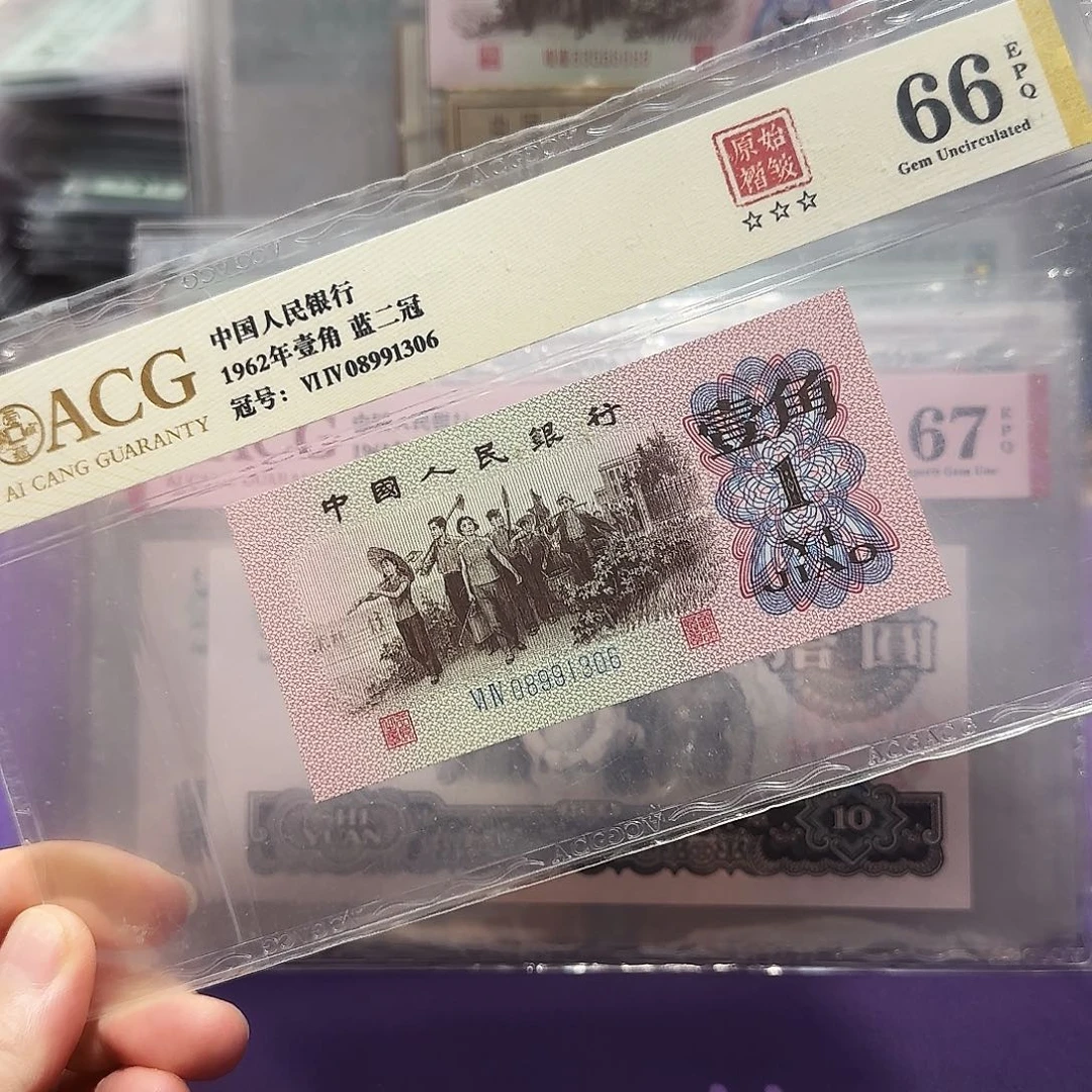 塑料08991306。。。。倒置号褶皱