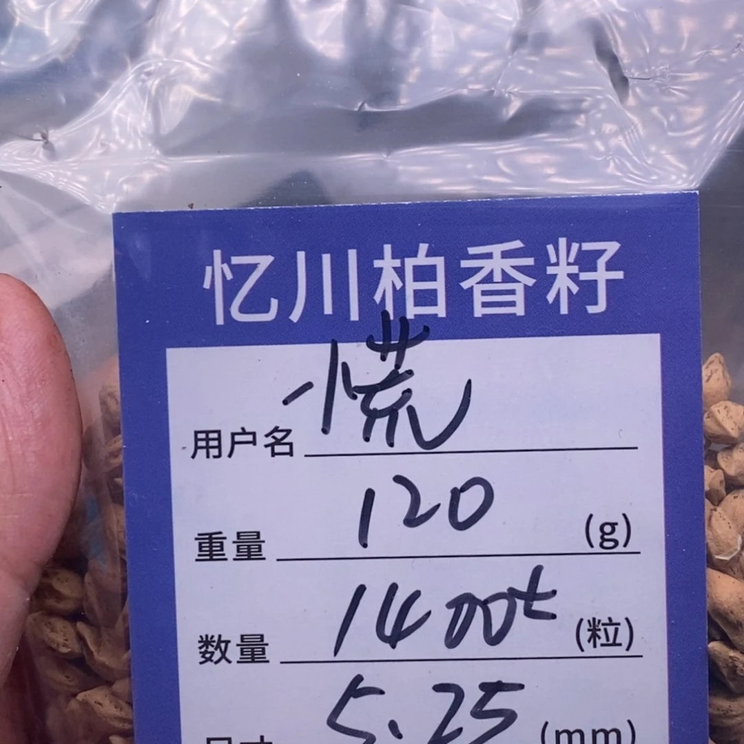 柏香籽/百香籽吊坠慌