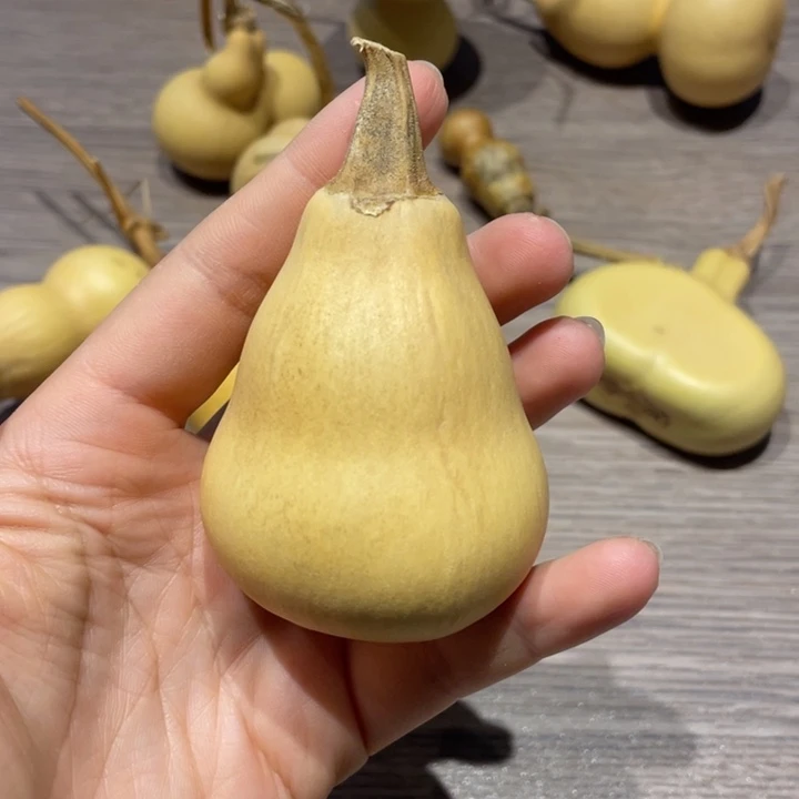 ****唯葫芦葫芦葫芦葫芦