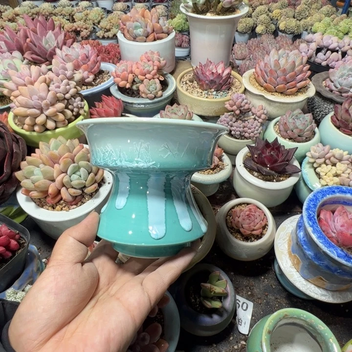 特价花盆满50发货内口11