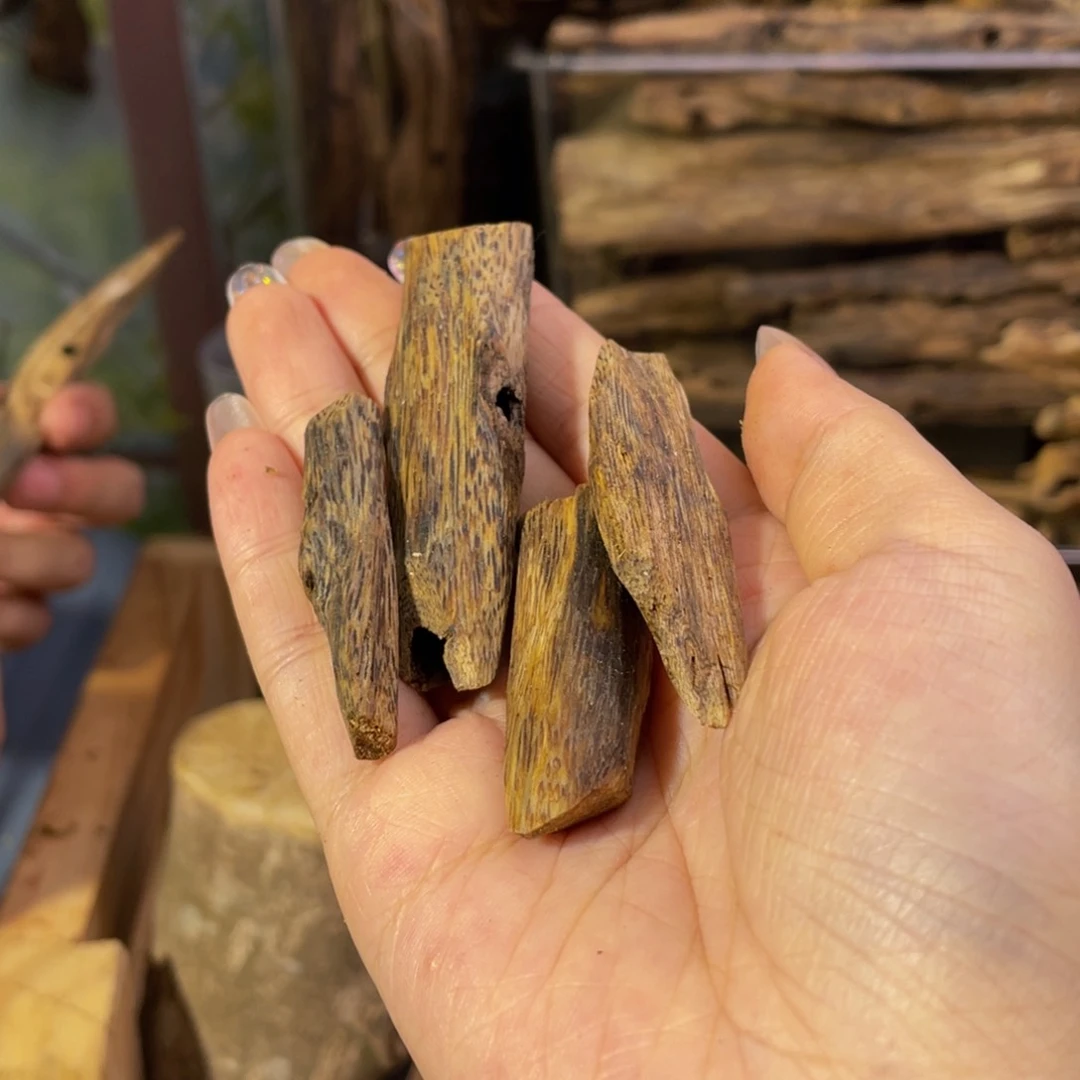 沉香碎屑沉香阿*虫漏福利13克67