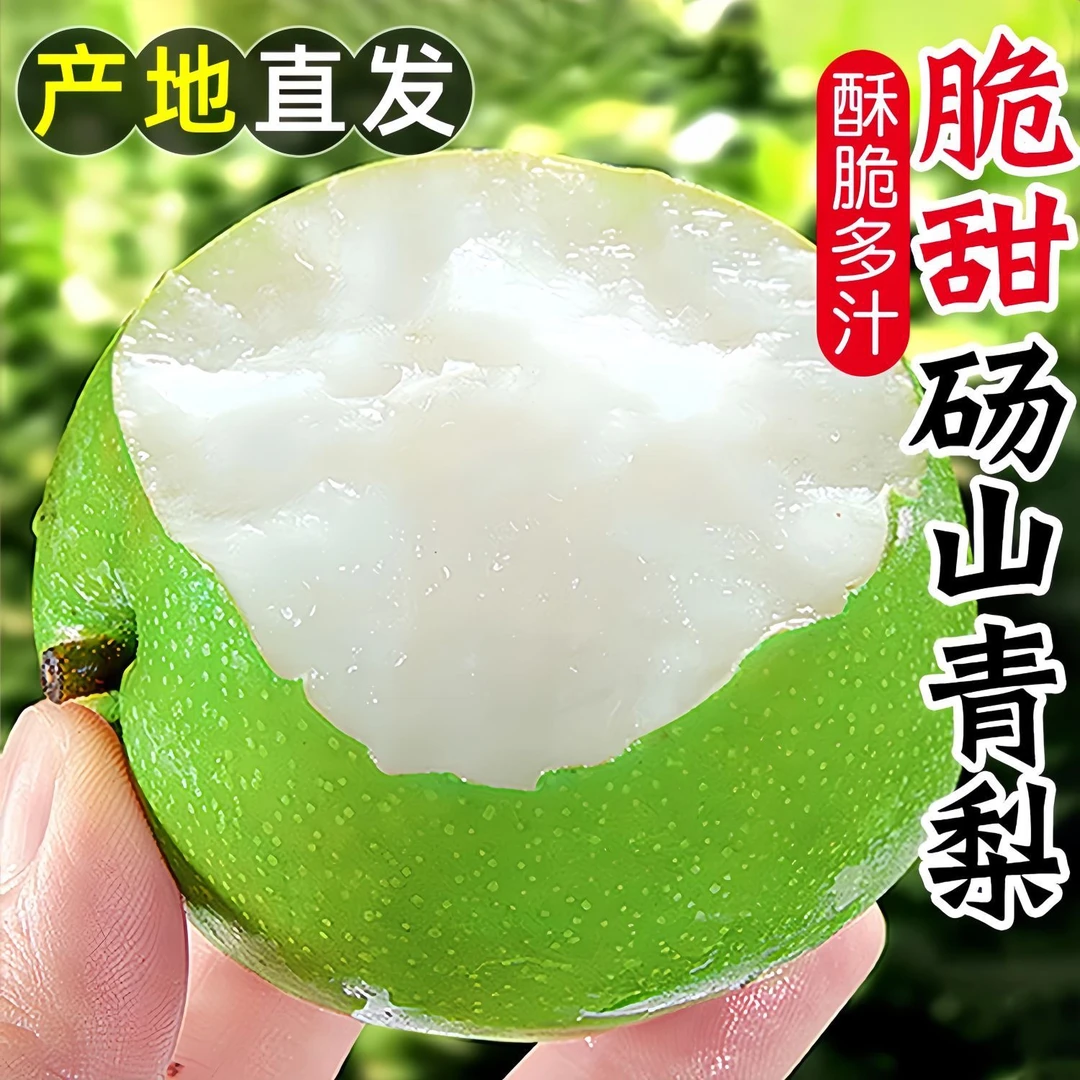 【安徽砀山梨】砀山酥梨青皮梨脆甜多汁现摘现发4.5斤8.5斤新鲜采w