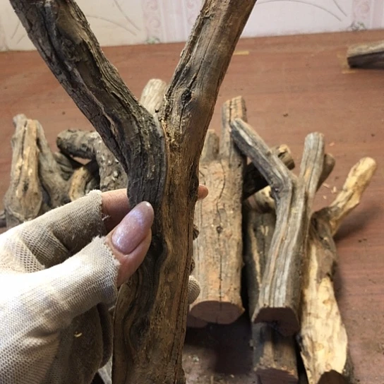 大果紫檀（缅甸花梨）花**•