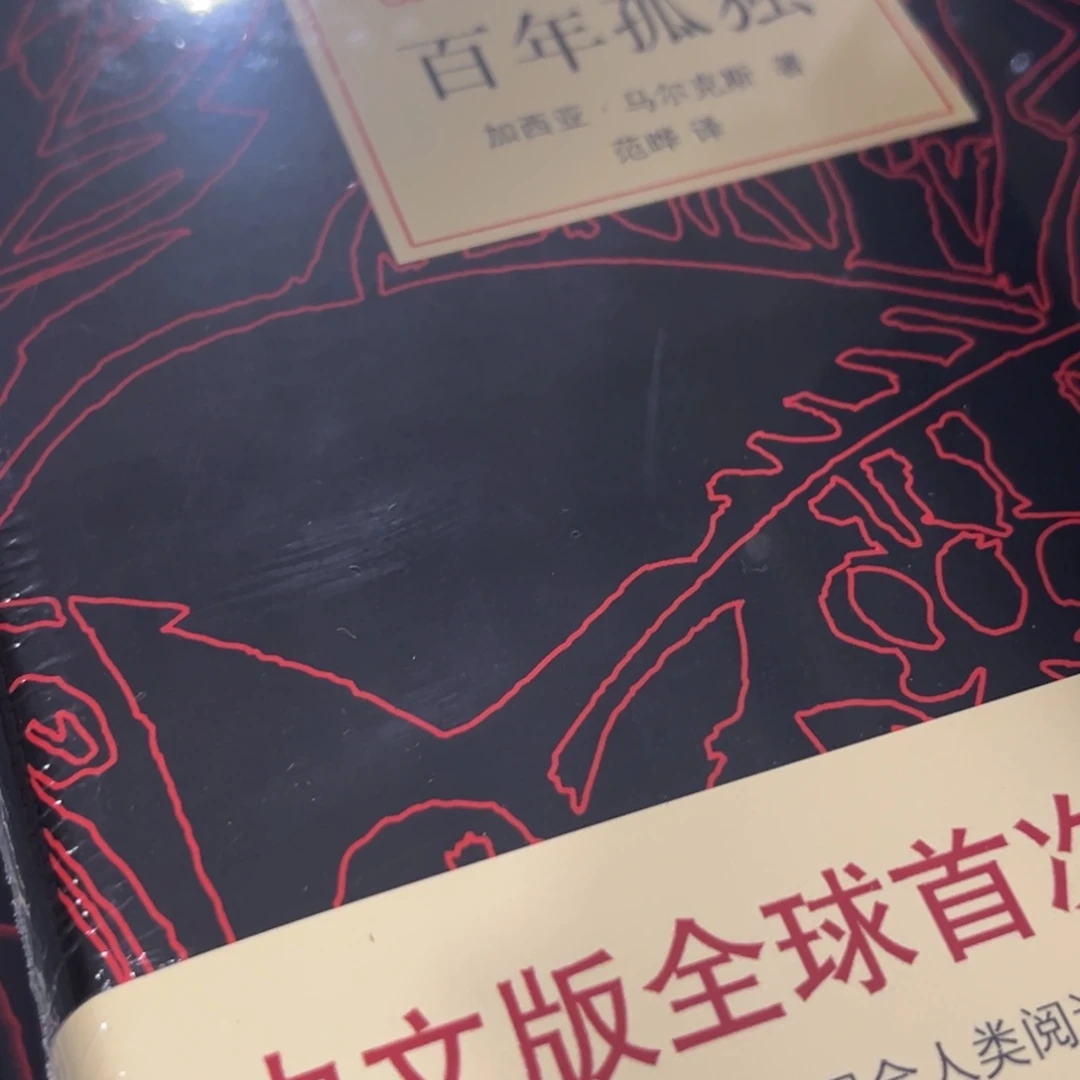 百年孤独精装一个