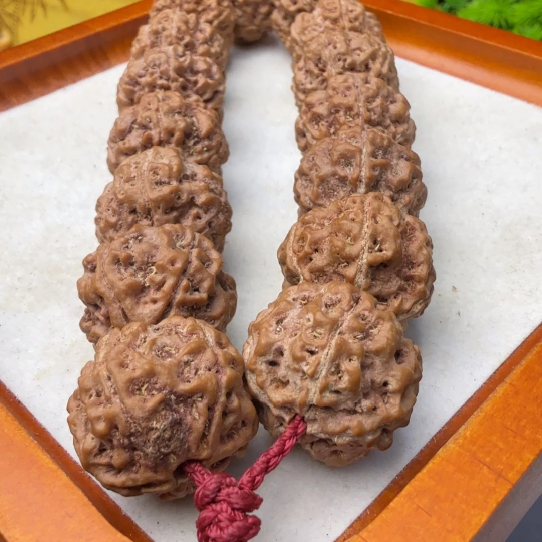 金刚菩提吊坠20➕雪山铁籽姜黄皮老籽