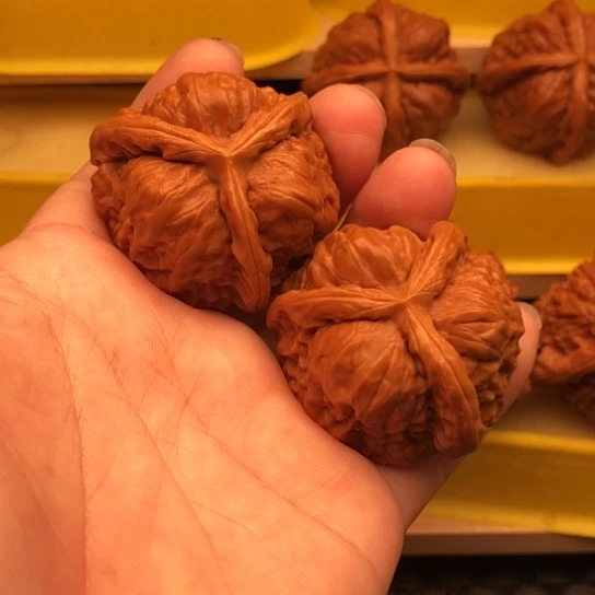 一***.核桃核桃核桃核桃