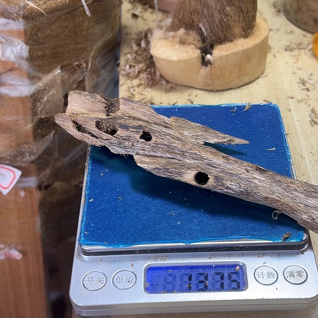 香料绿奇楠张勺子虫漏13克