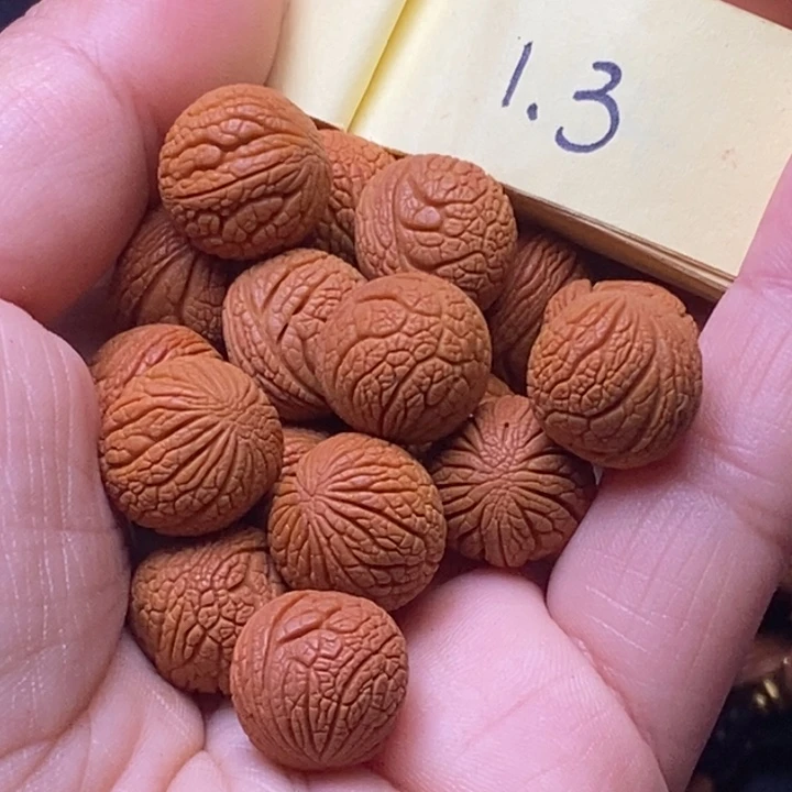 秦岭龙纹桃核18颗